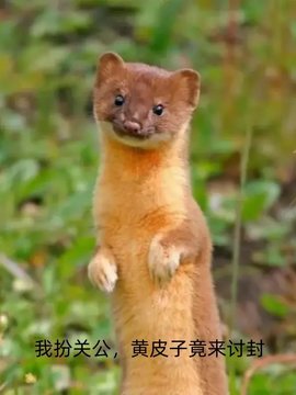 乔城朱长风小说