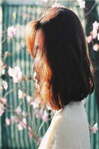 枕月半两[先婚后爱]by己枝