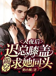 入夜后,迟总膝盖跪穿求她回头最新