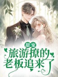 甜宠旅游撩的老板追来了