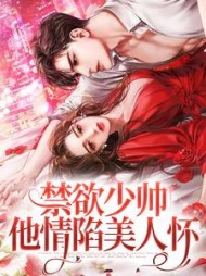 禁欲少帅，他情陷美人怀阅读