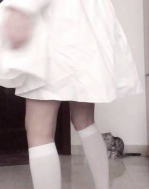 [完结by全番外]《月光疤（1v1追妻火葬场）》作者：三侗岸【补番】【小 颜]