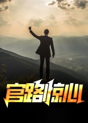 官路惊心阅读