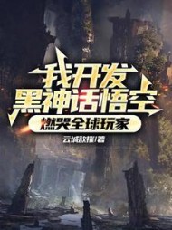 我开发黑神话悟空，燃哭全球玩家