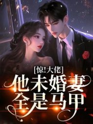 惊！大佬他未婚妻全是马甲最新