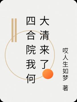 四合院我何大清来了