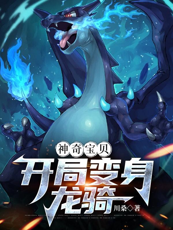 神奇宝贝：开局变身龙骑