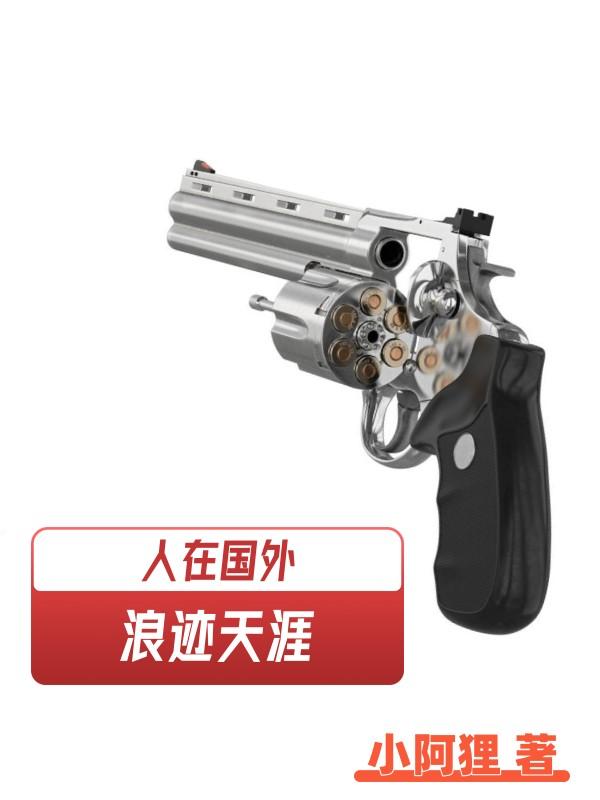 人在国外，浪迹天涯