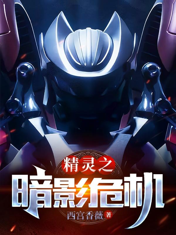 精灵之暗影危机