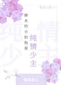撩来的小奶狗是纯情少主