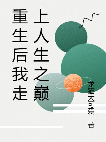 重生后我走上人生之巅