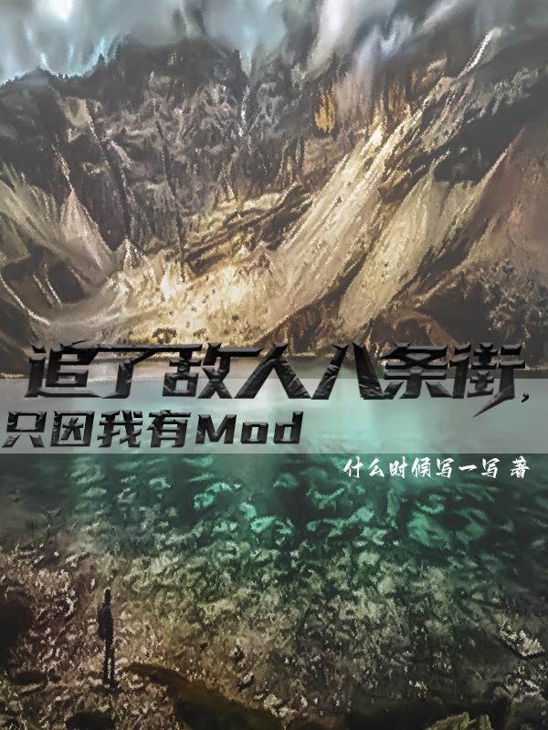 追了敌人八条街，只因我有Mod