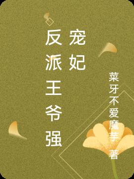 反派王爷强宠妃