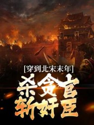 穿到北宋末年杀贪官斩奸臣