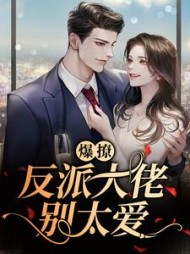 爆撩反派大佬别太爱