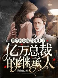 避孕药失效我怀上了亿万总裁的继承人