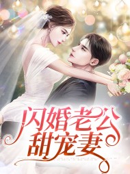 闪婚老公甜宠妻