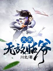 大宋无敌姑爷川北