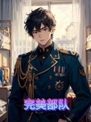 完美部队