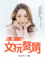 第一文玩赘婿
